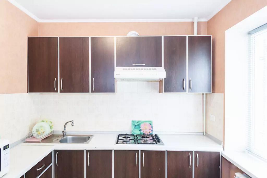Apartment In Zaporozhye. Antica Zaporizhia Zewnętrze zdjęcie